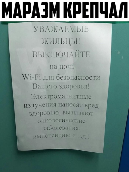 https:__pp.userapi.com_c845520_v845520793_83681_f_rzEZRASns.jpg